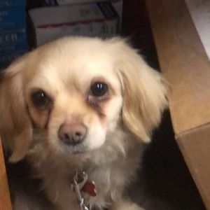 Meet your Posher, Eddy